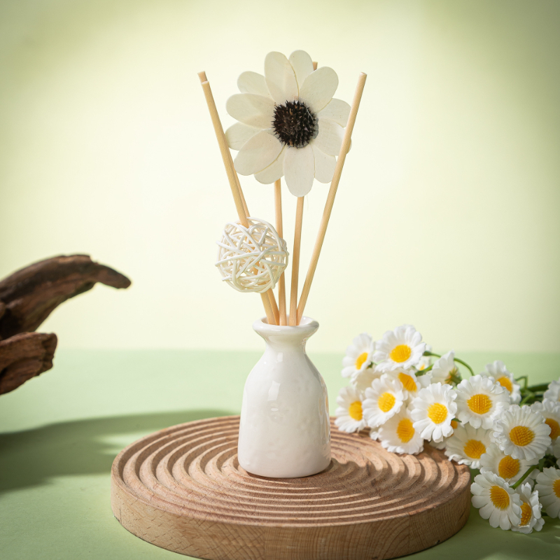 Diffuseurs à bâtonnets de 30 m - Home Fragrance Hotel Collection avis et prix